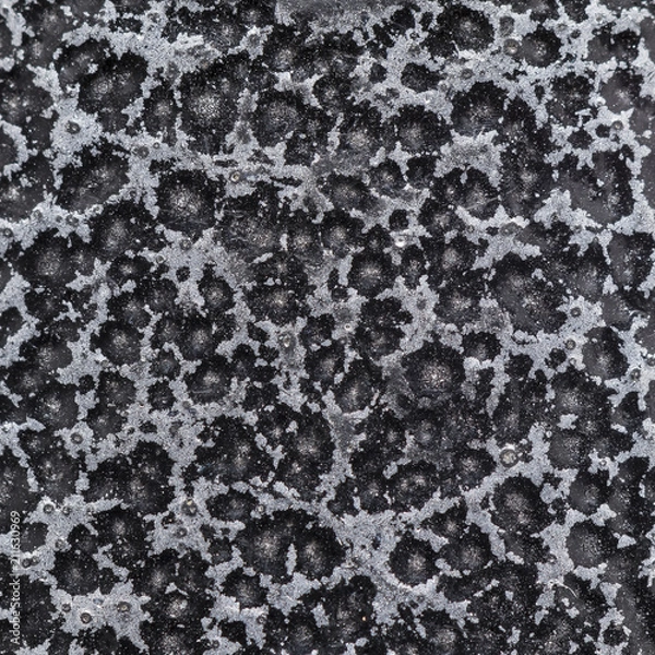 Fototapeta abstract texture under a microscope