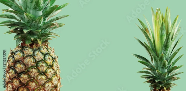 Obraz pineapple with green background.