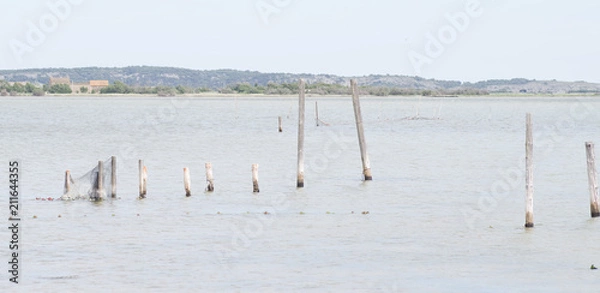 Fototapeta Piquets dans l'étangs