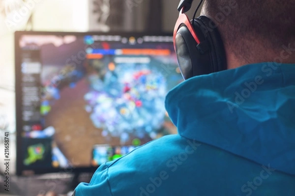Fototapeta Back view of man playing PC game