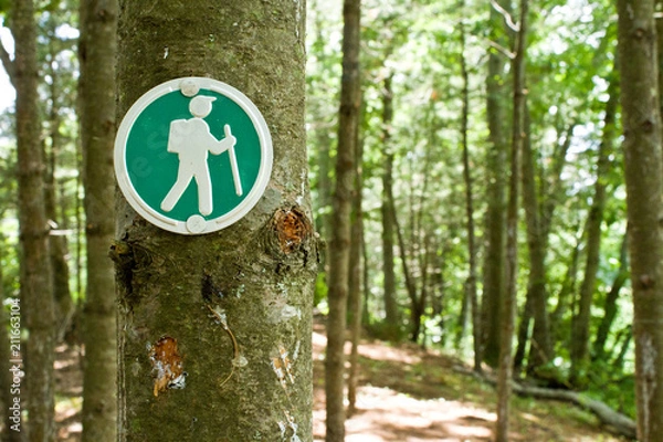 Fototapeta Hiking Trail Marker on a Tree in the Woods