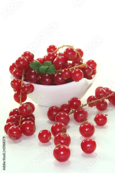 Obraz Johannisbeeren