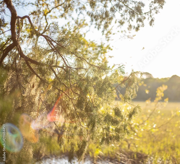 Obraz Sunset on the marsh 2