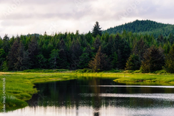 Obraz Cedar River, Pacific County, Washington, 2018