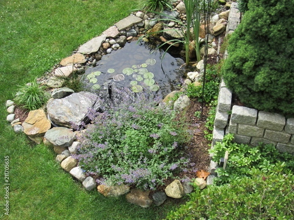Obraz A man made Koi fish pond with lily pads and other plants  