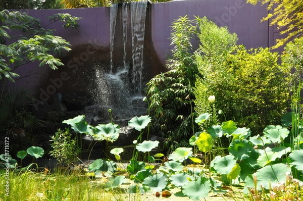 Fototapeta garden waterfall