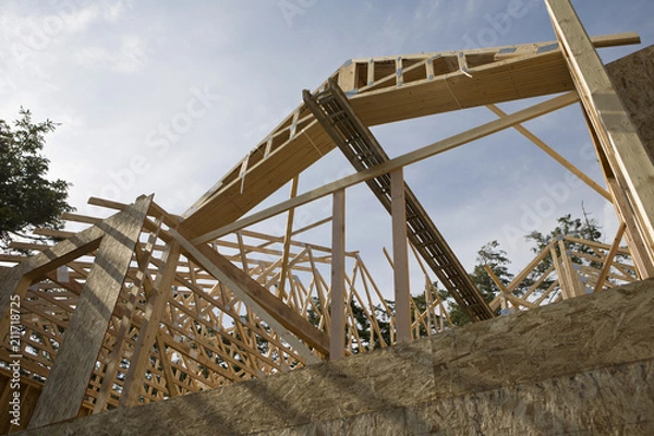 Obraz new home construction