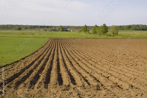 Obraz The ploughed field