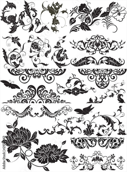 Obraz floral elements for design