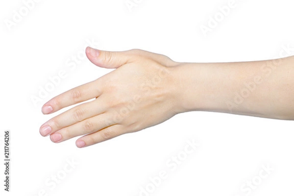 Obraz handshake, gesture hand close-up on a white background
