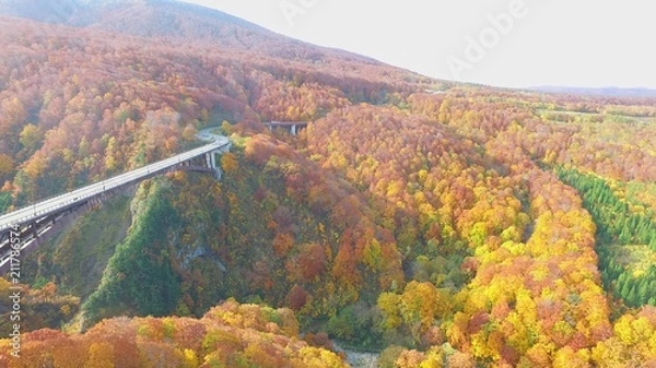 Fototapeta 絶景、紅葉城ヶ倉大橋