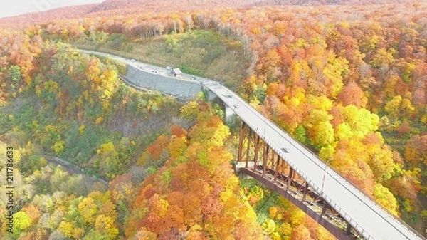 Fototapeta 絶景、紅葉城ヶ倉大橋