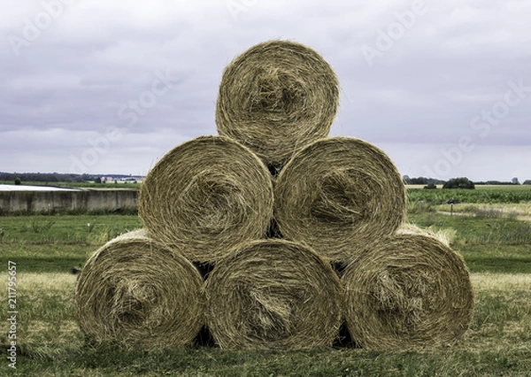 Fototapeta Stacked like a pyramid, round yellow bales of straw in the cloudy weather. Good bedding for cows in winter. Dairy farm in Podlasie, Poland.