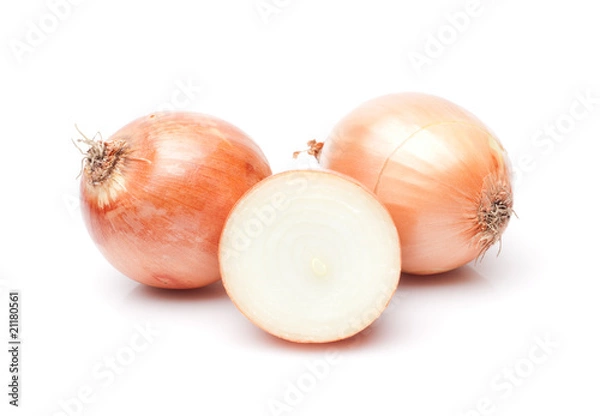 Obraz Onion