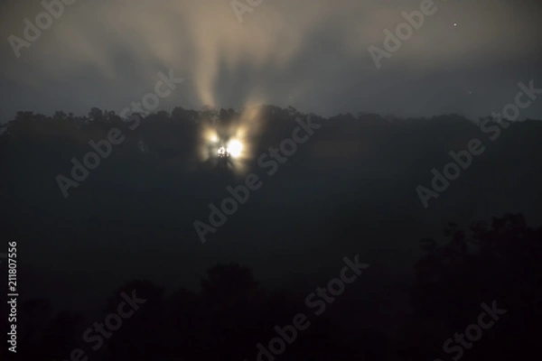 Fototapeta Moonlight in trees and fog