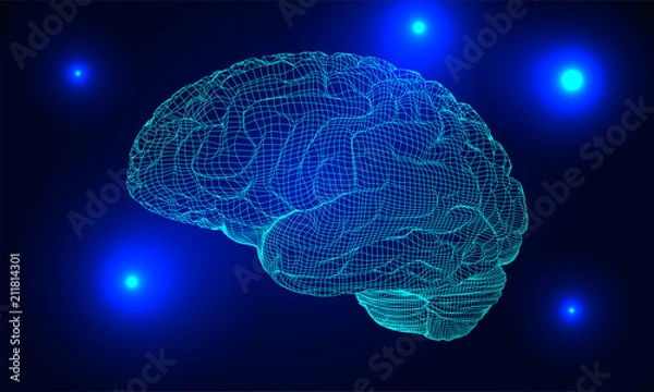 Obraz Wireframe brain vector