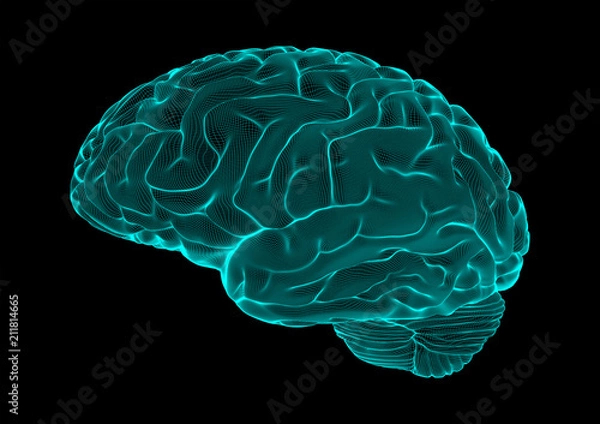 Fototapeta Wireframe brain vector