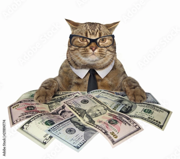 Obraz Inteligentny kot w krawacie i okularach trzyma dolary amerykańskie. Białe tło.