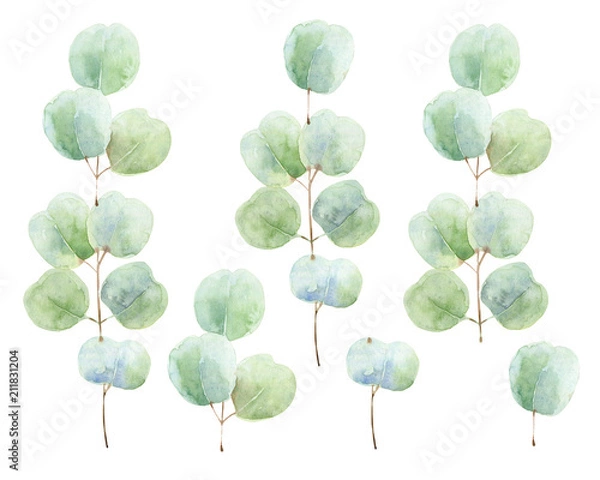 Fototapeta Set of green branches on white background