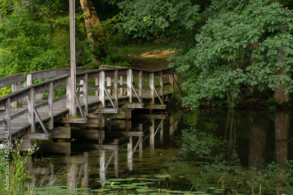 Obraz A Bridge in the Park