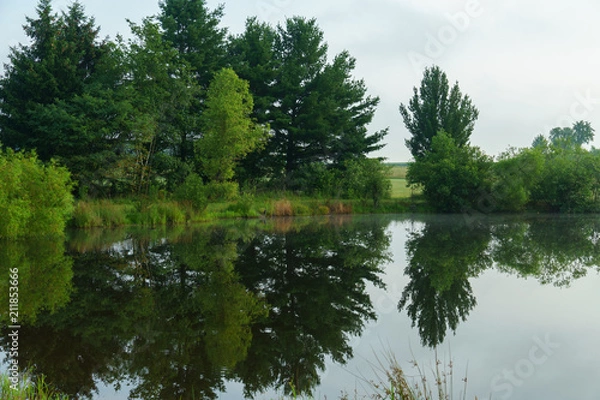 Obraz Deep Reflections on the Pond