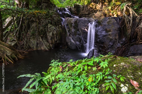 Obraz Front view Waterfall