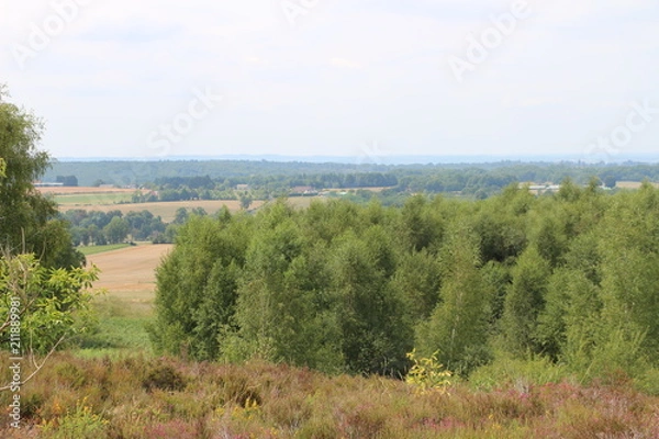 Fototapeta faune et flore 