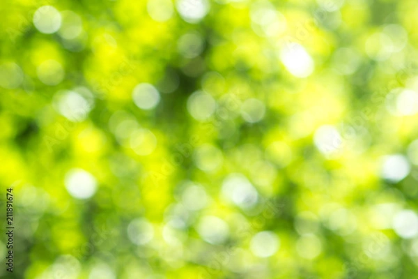 Obraz Blurred green tree leaf background with bokeh, Nature texture