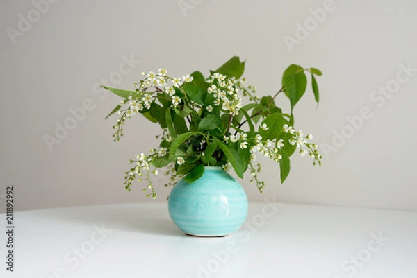 Fototapeta Branch of blossoming bird cherry stands in a round vase