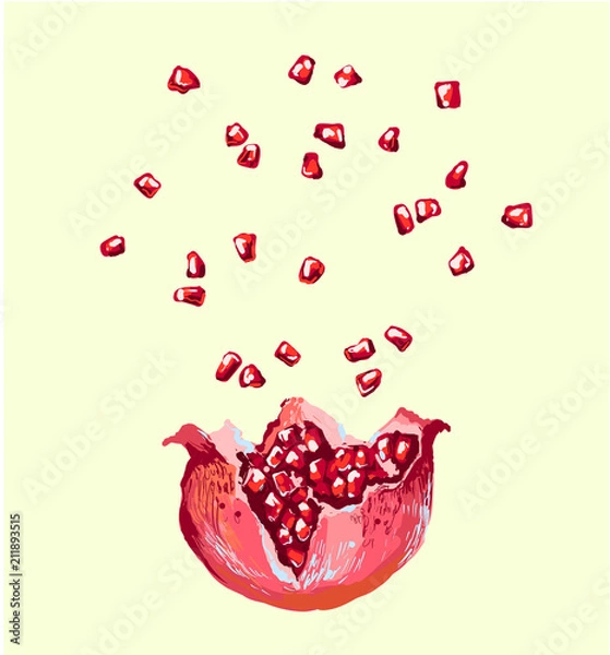 Obraz Pomegranate seed splash explosion , vector opened pomegranate illustration