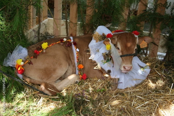 Obraz danse Landaise