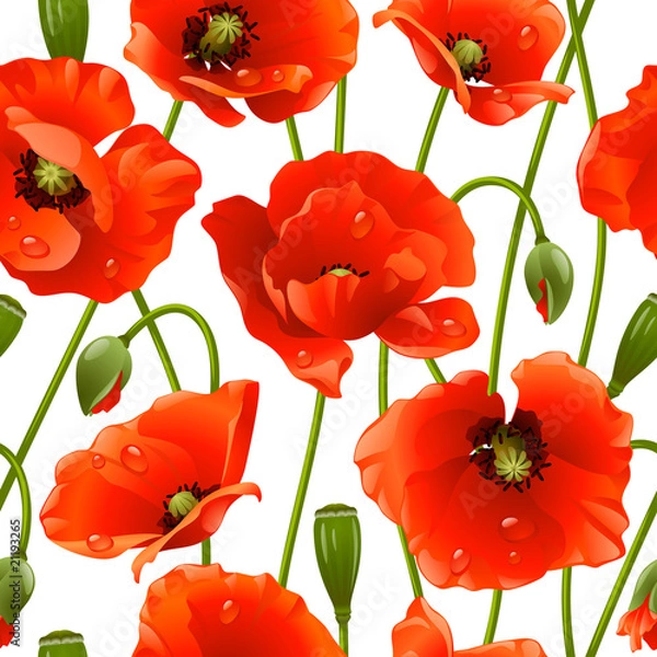 Obraz Seamless background: poppy