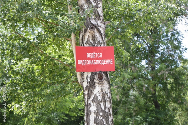Obraz Табличка на дереве "ведётся наблюдение"