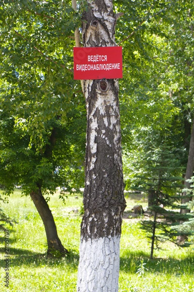 Obraz Красная табличка "ведётся наблюдение" размещена на дереве в парке