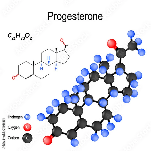 Fototapeta chemical formula and model of the Progesterone
