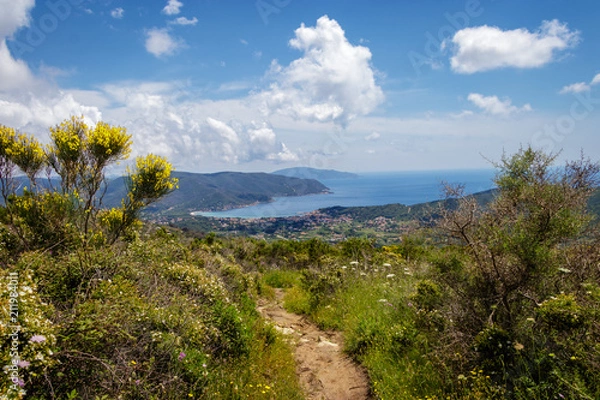 Fototapeta Elba's western coastline stretches out for about 35 km. From Portoferraio to Marciana Marina.  Beautiful cliffs above the sea, with a look out over the sea and around the horizon.