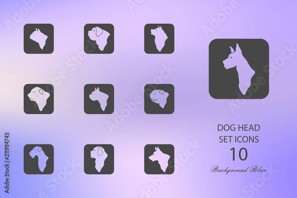 Fototapeta Dog head. Set of flat icons on blurred background
