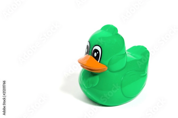 Obraz Green duck