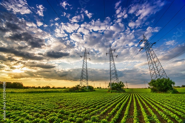 Obraz Power lines in the green field in sunset