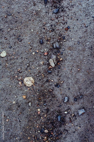 Fototapeta Texture of dirty sand with stones. The natural environment of stones in the nature of the village.