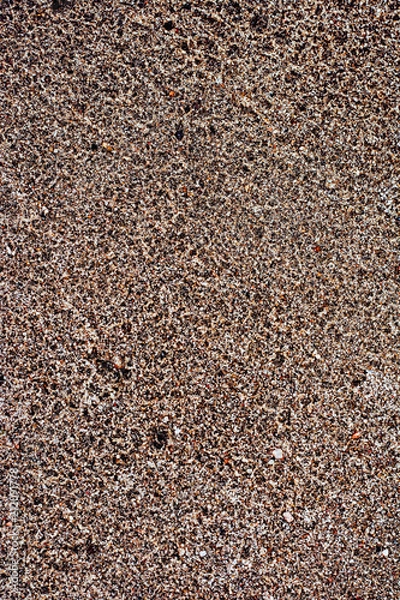 Obraz Sand with pebbles. Natural texture of sand with stones. Small plants on the sand.