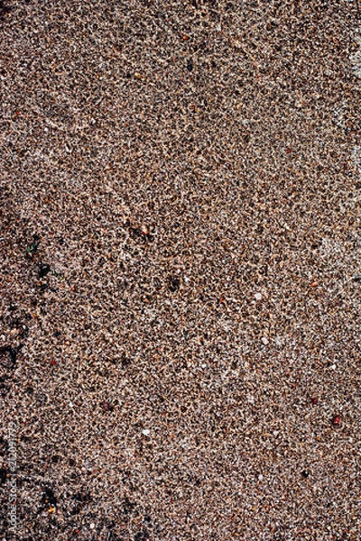 Fototapeta Sand with pebbles. Natural texture of sand with stones. Small plants on the sand.