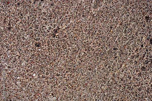 Obraz Sand with pebbles. Natural texture of sand with stones. Small plants on the sand.
