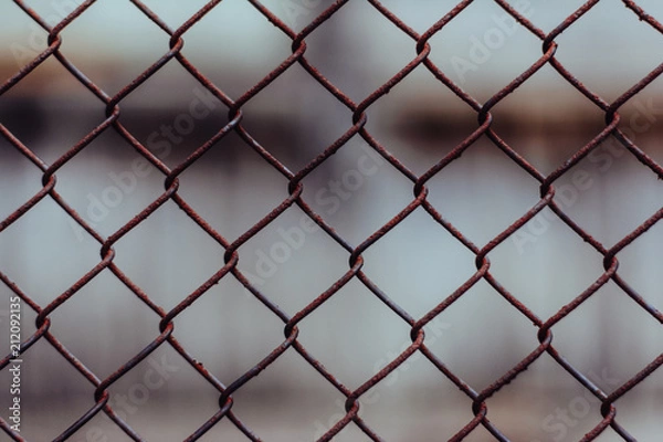 Obraz Metal mesh. Rusty mesh. The texture of the rusty mesh. Natural mesh in the village.