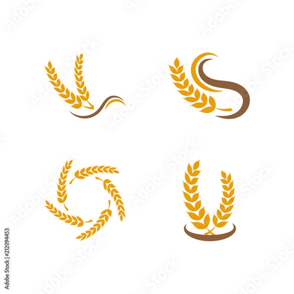 Obraz Grain logo design template