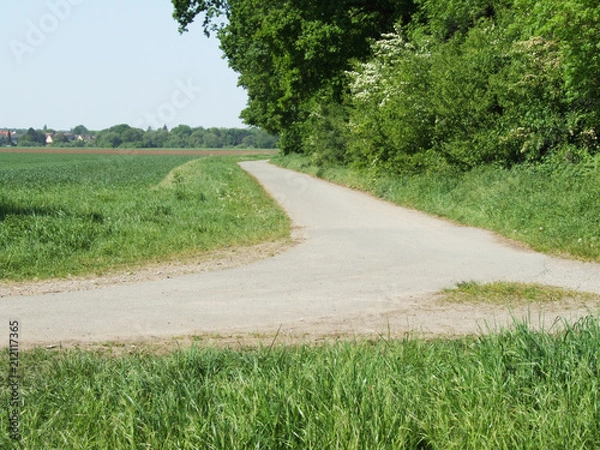 Obraz Weg im Park