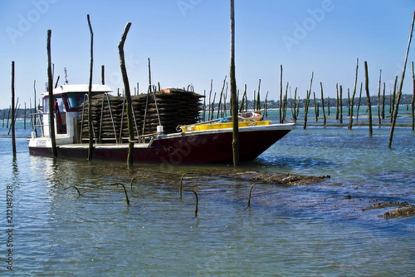 Obraz parc à huitres