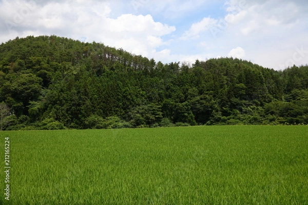 Obraz 東北の田園風景