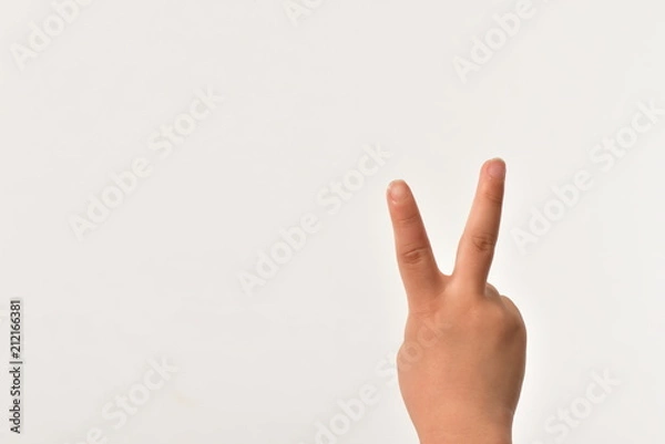 Obraz ピースサイン