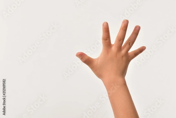 Obraz 子供の手の甲